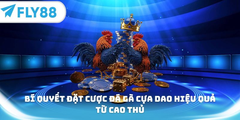 Bí quyết đặt cược đá gà cựa dao hiệu quả từ cao thủ