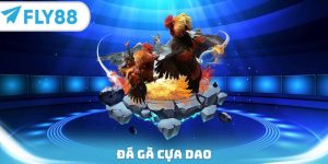 đá gà cựa dao