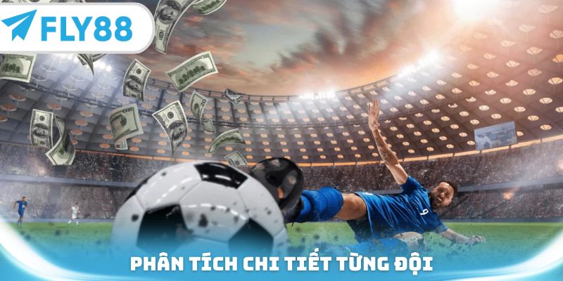 Phân tích chi tiết từng đội