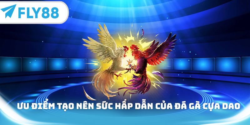 Ưu điểm tạo nên sức hấp dẫn của đá gà cựa dao