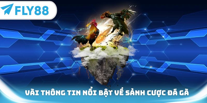 Vài thông tin nổi bật về sảnh cược đá gà